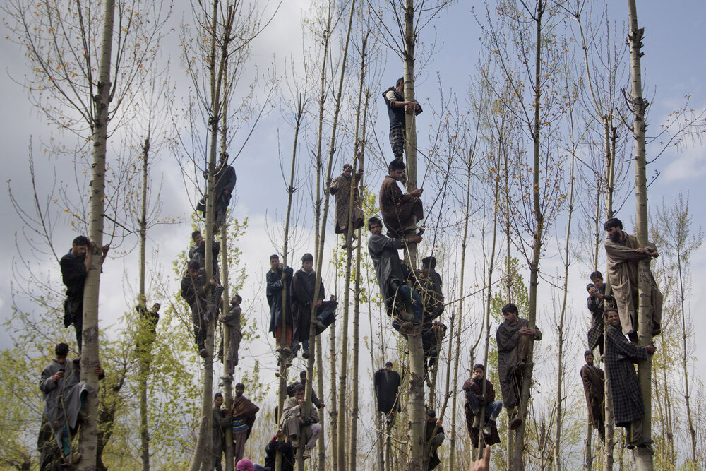 Kashmiri Muslims climb trees to watch the funeral procession of Waseem Malla